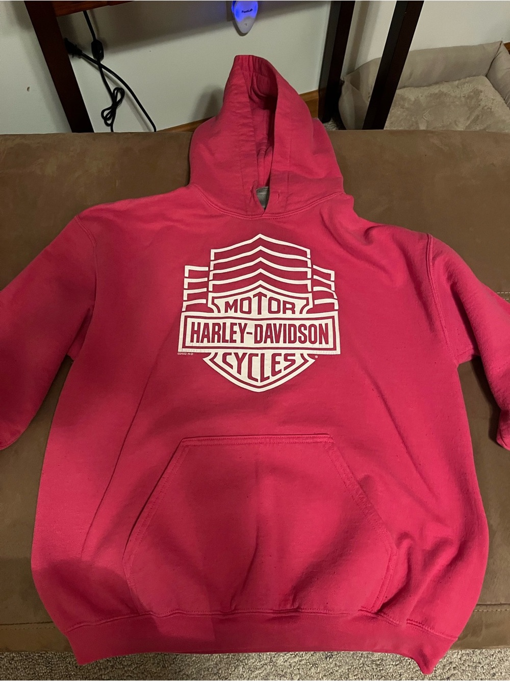 Harley-Davidson Kids Pink Logo Hoodie